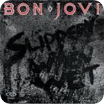 Image: Bon Jovi - Born To Be My Baby