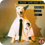 Image: Rick Springfield - Bop Til You Drop
